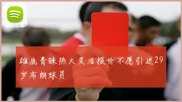 雄鹿青睐热火灵活报价不愿引进29岁布朗球员